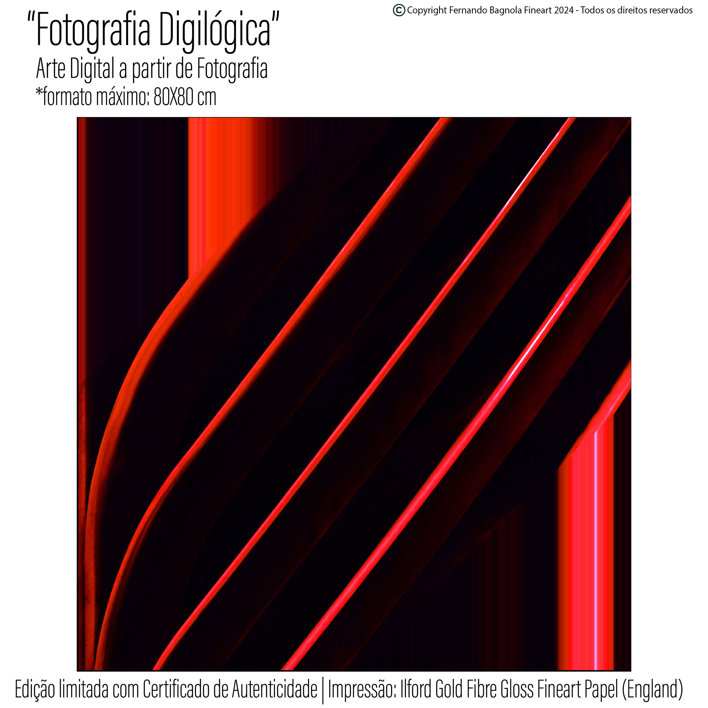 Obra fotogrÃ¡fica FA-002