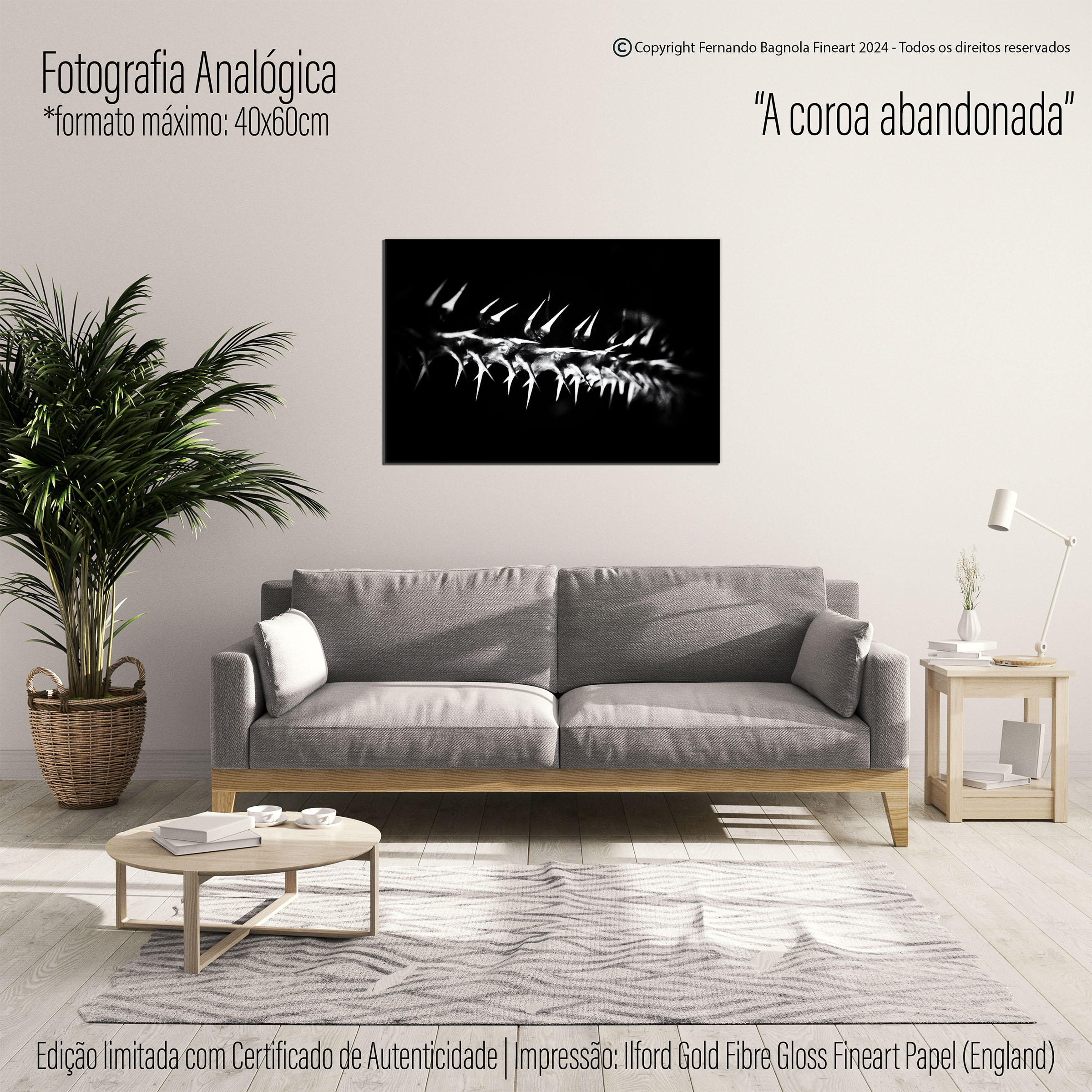 Obra FA-006 apresentada num ambiente