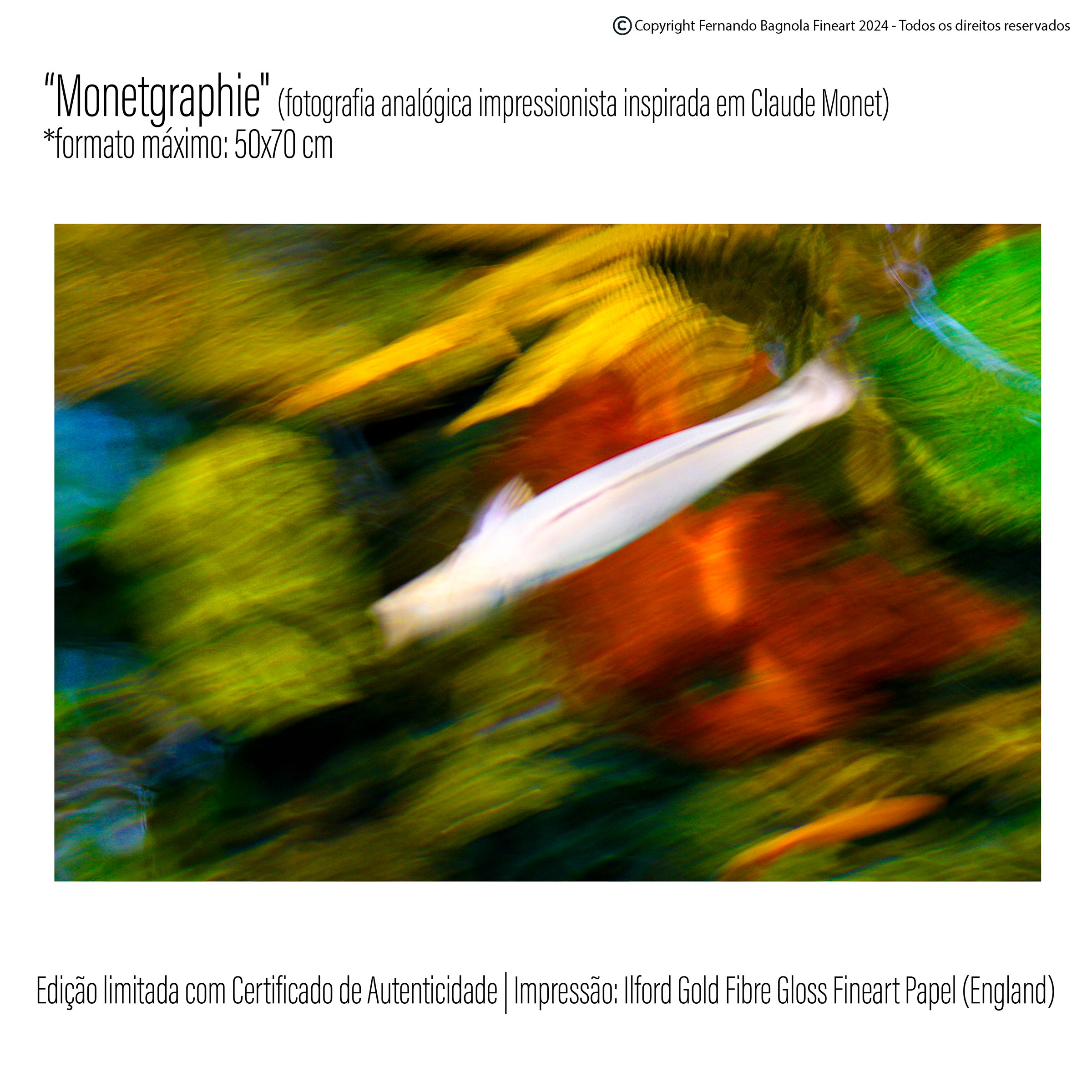 Obra fotogrÃ¡fica FA-024