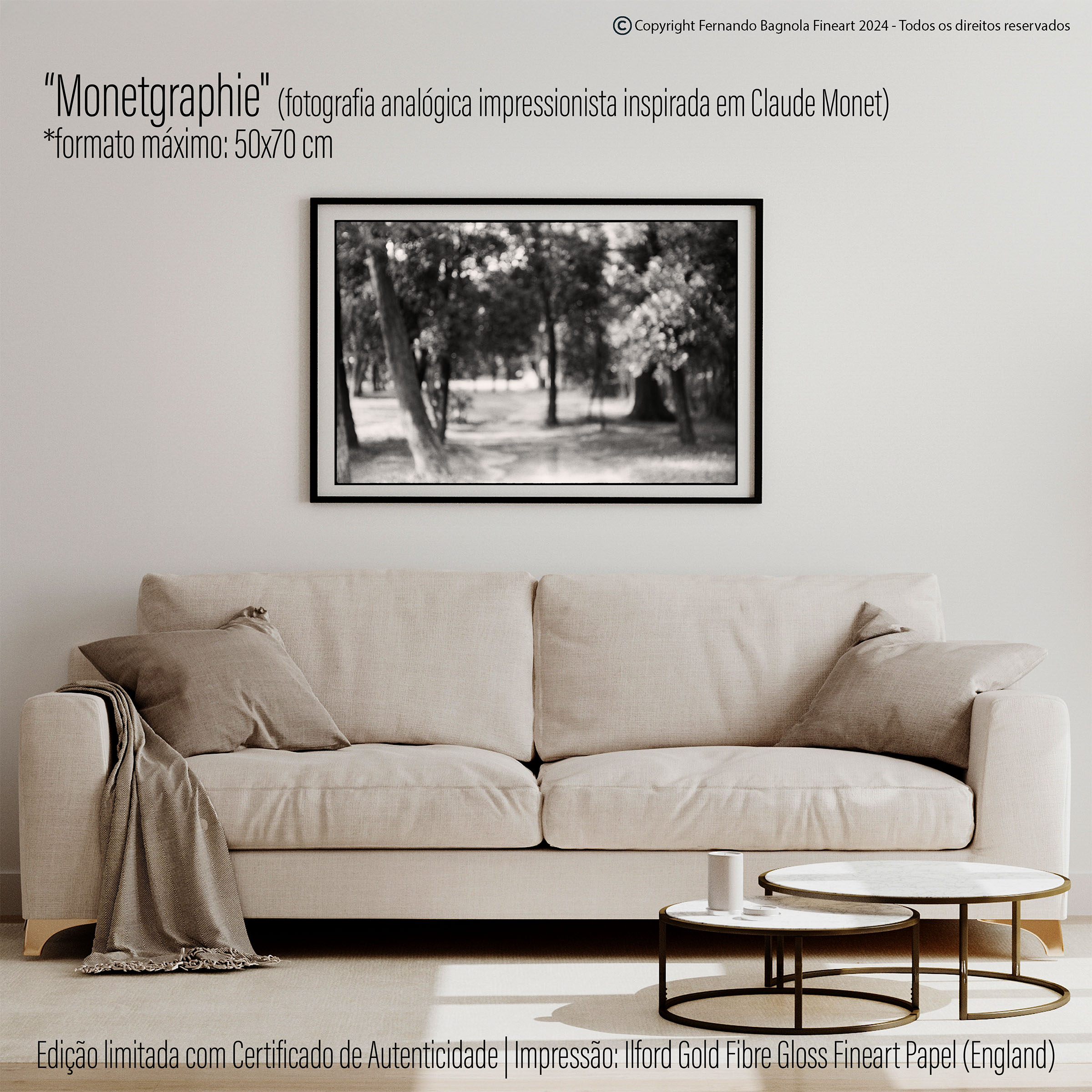 Obra FA-042 apresentada num ambiente