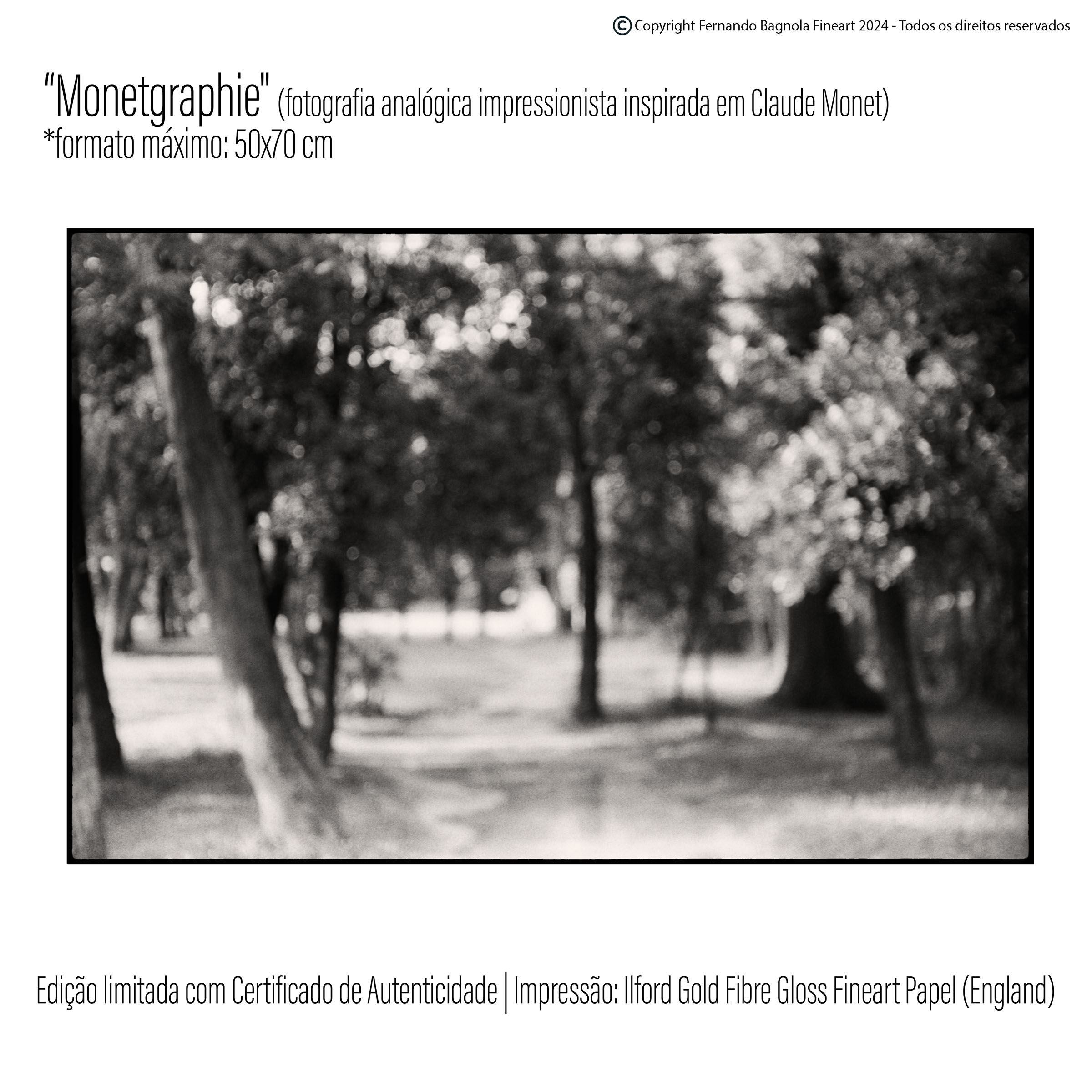 Obra fotogrÃ¡fica FA-042